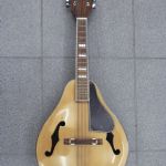 727 8691 Mandolin